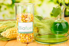 Cambridge biofuel availability